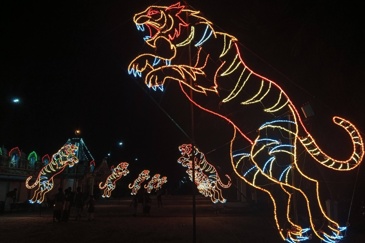 tiger