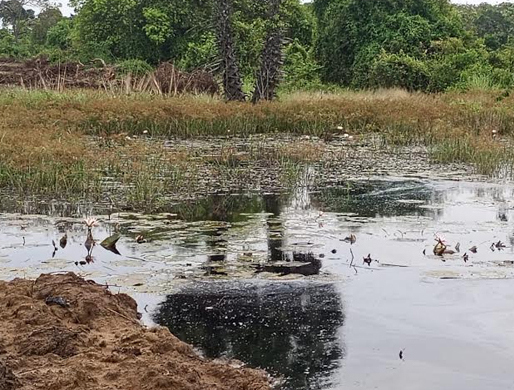 alangkulam