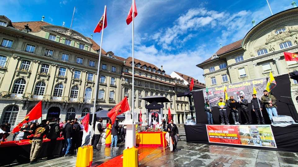 swiss mulli (12)