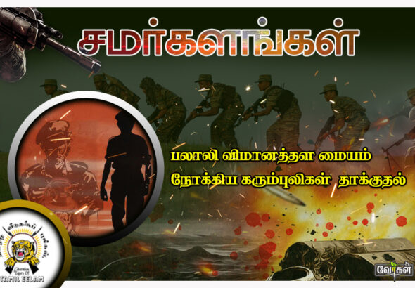 palai 02.08