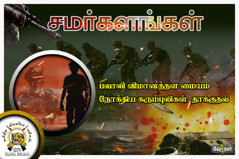 palai 02.08