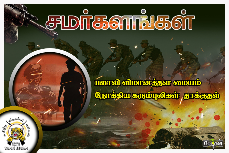 palai 02.08