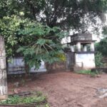 palali