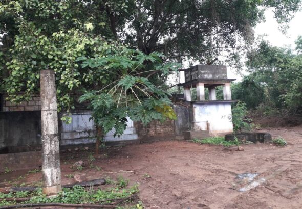 palali